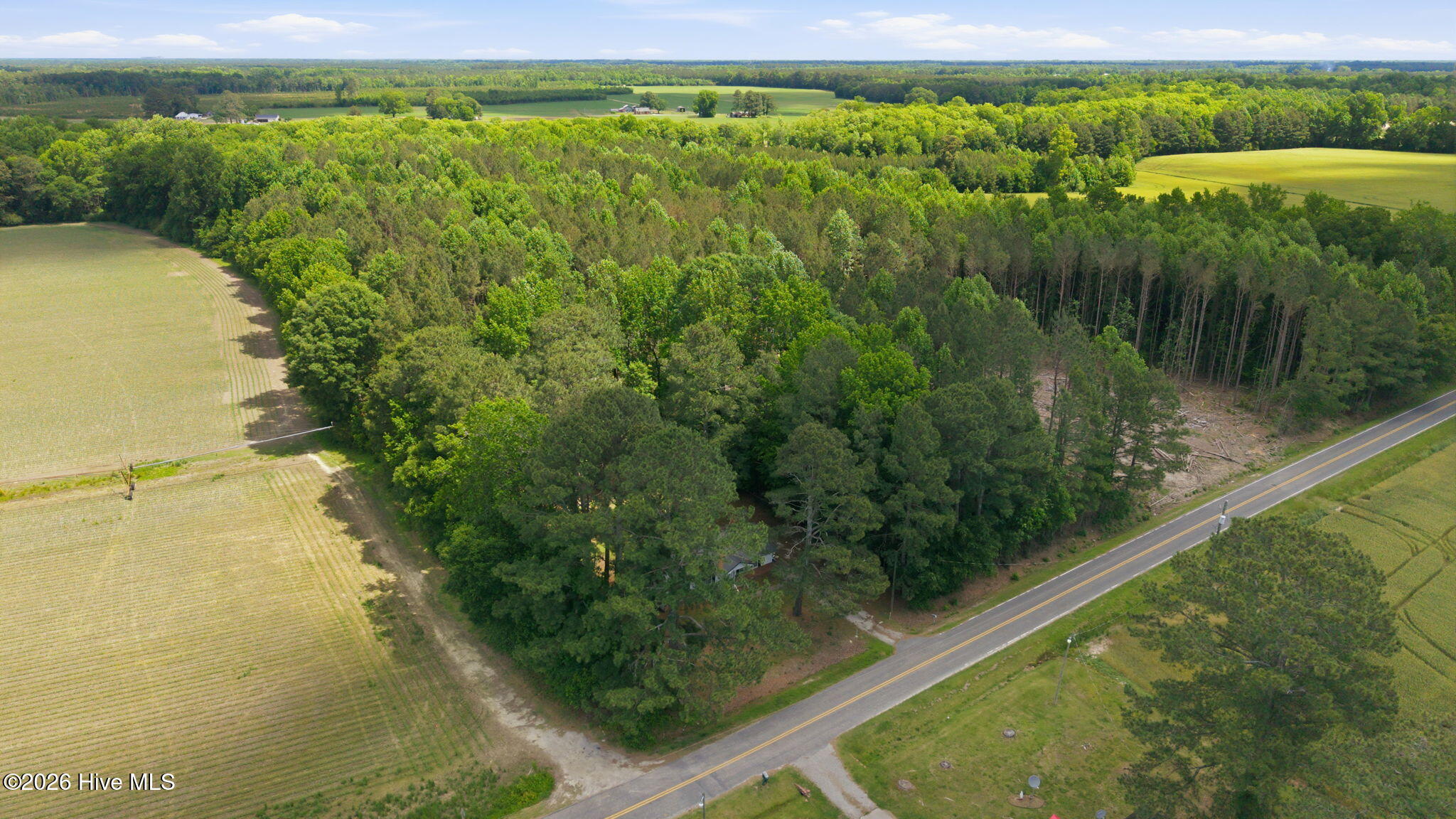 204 West John Thompson Road Colerain, NC 27924 - Photo 47 of 50 14-web-or-mls-DJI_20260513112825_0211_D