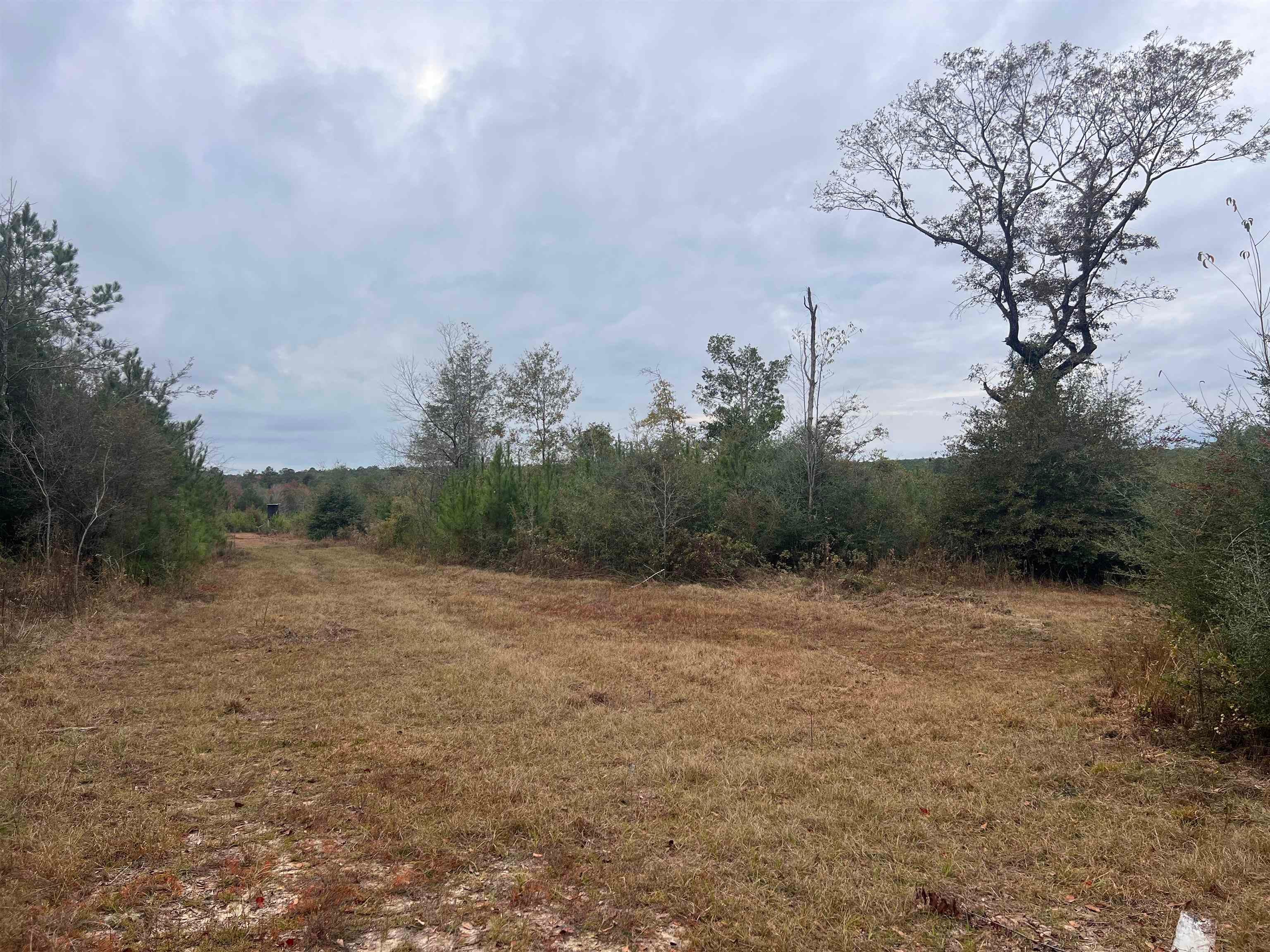 4894 Ray King Road Andalusia, AL 36421 - Photo 7 of 7 Gallery Image 7
