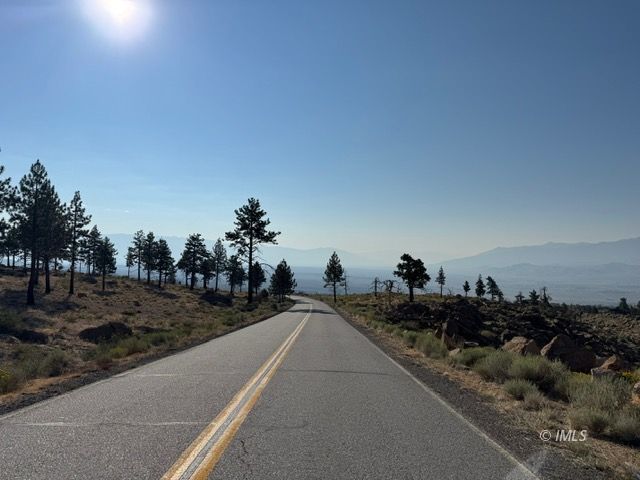 Lot #7 Swall Meadows Road Bishop, CA 93514 - Photo 17 of 17 Road View