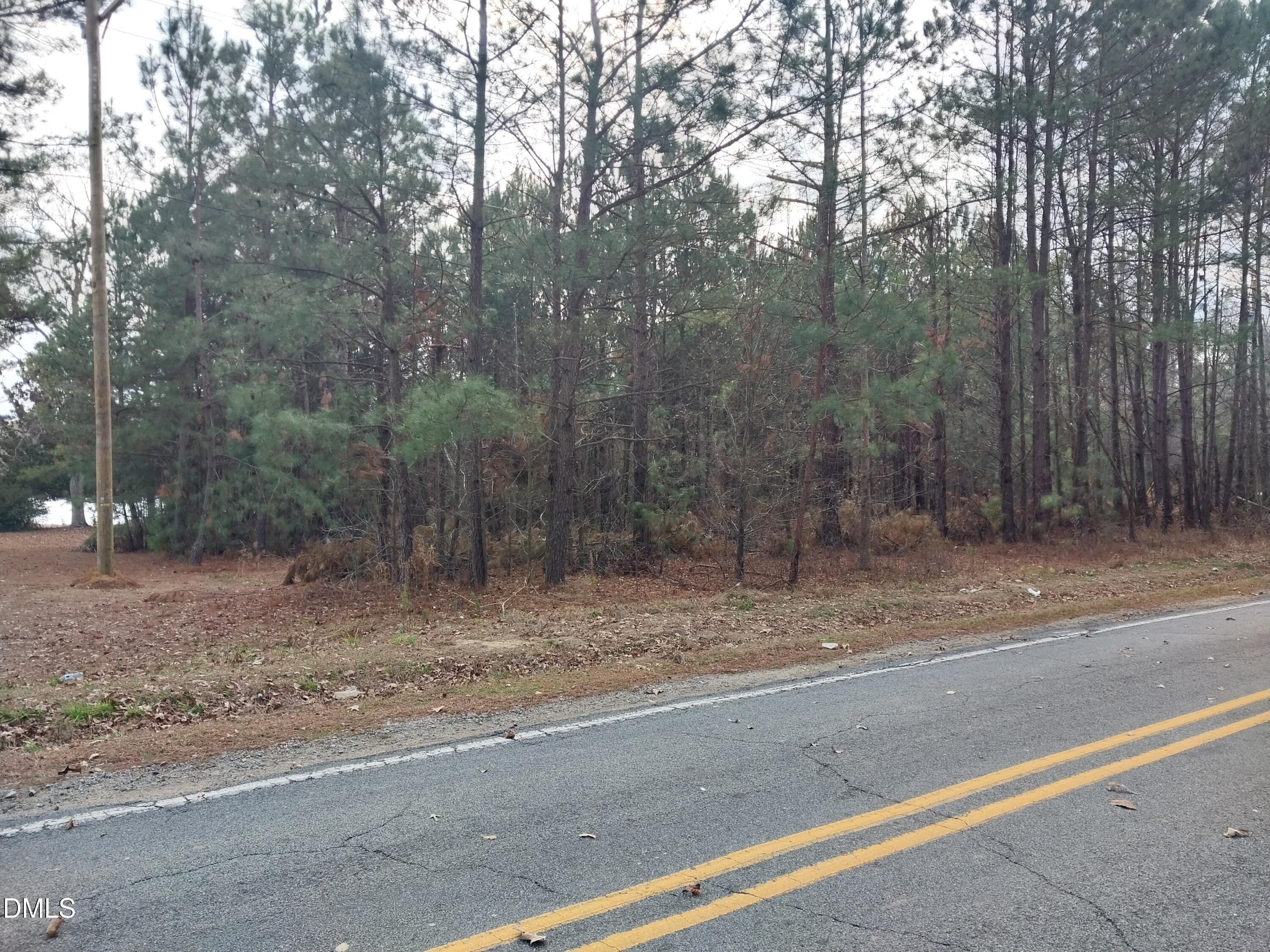 6741 Wimberly Road Willow Spring, NC 27592 - Photo 2 of 11 a view of a roadside with trees