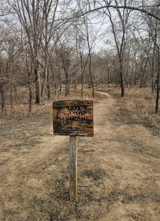 420 Riverside Drive Bastrop, TX 78602 - Photo 8 of 8