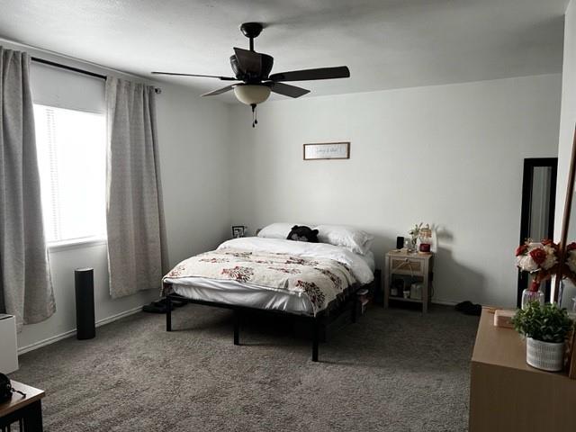 1802 Lewis Trail Grand Prairie, TX 75052 - Photo 8 of 13 Master Bedroom