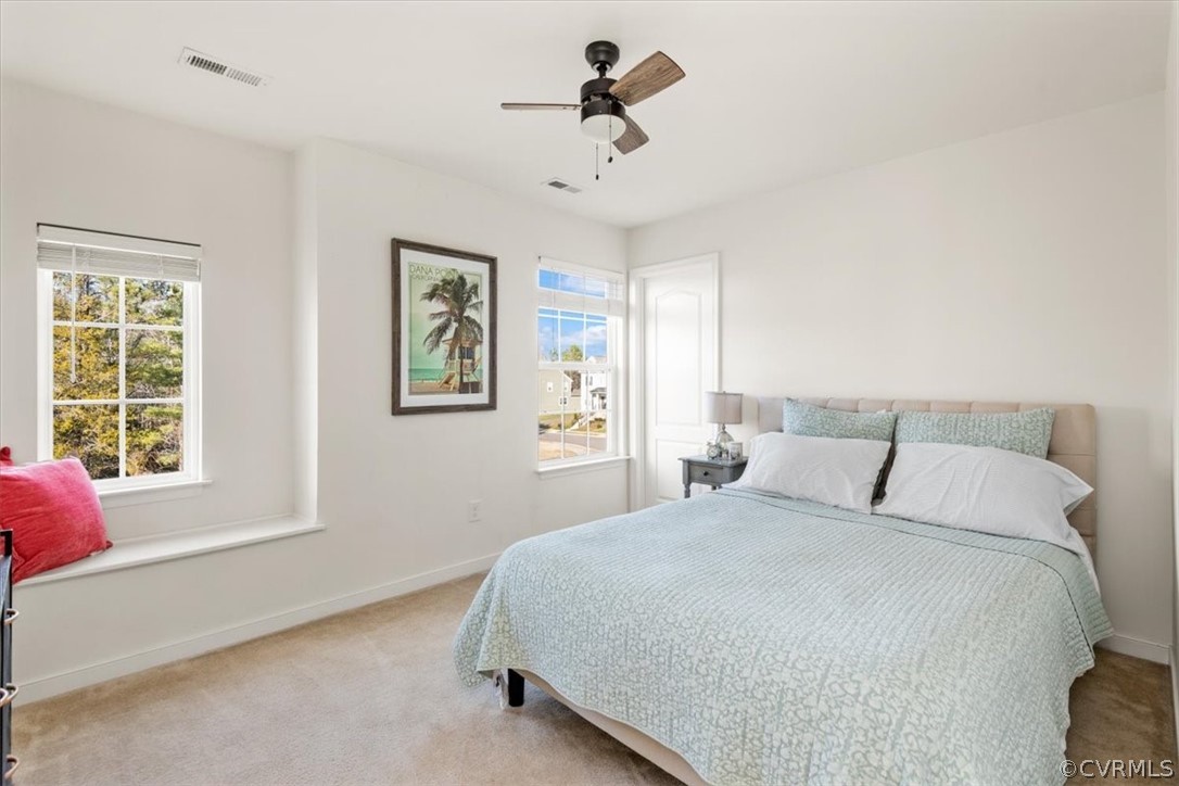 5744 Rohan Court Moseley, VA 23120 - Photo 29 of 38 Gallery Image 29