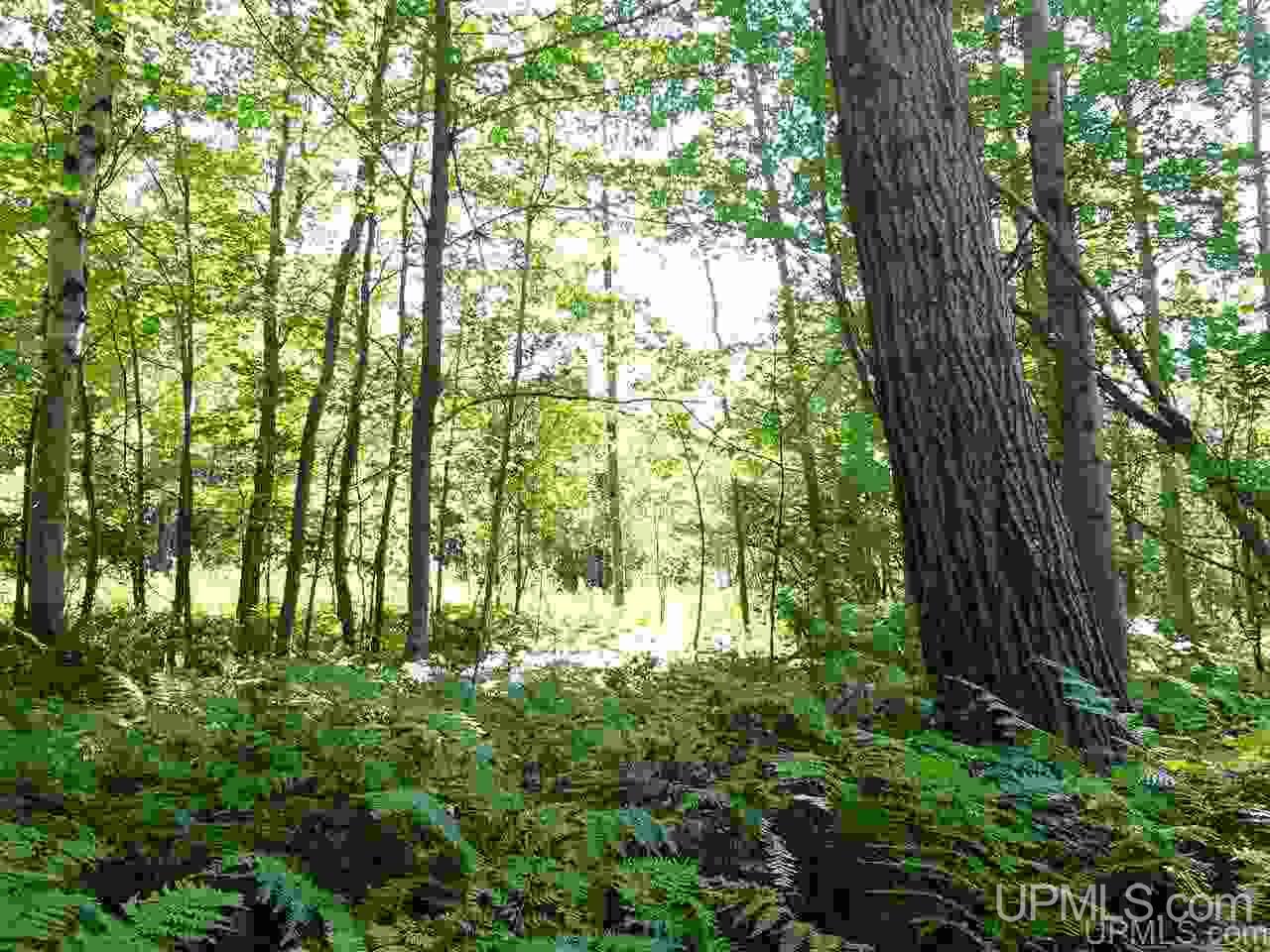 Tbd Freda Road Atlantic Mine, MI 49905 - Photo 8 of 17