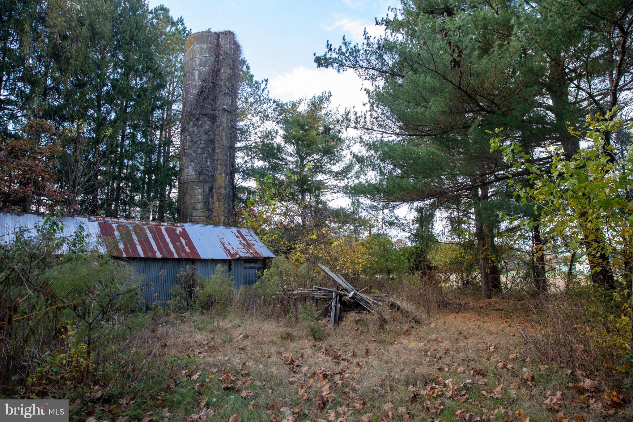 26121 Lewes Georgetown Highway Georgetown, DE 19947 - Photo 19 of 72 a view of a tree in a yard