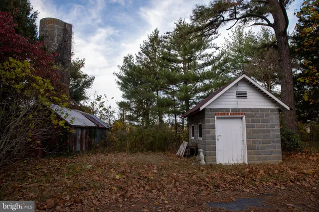 a view of backyard with green space
