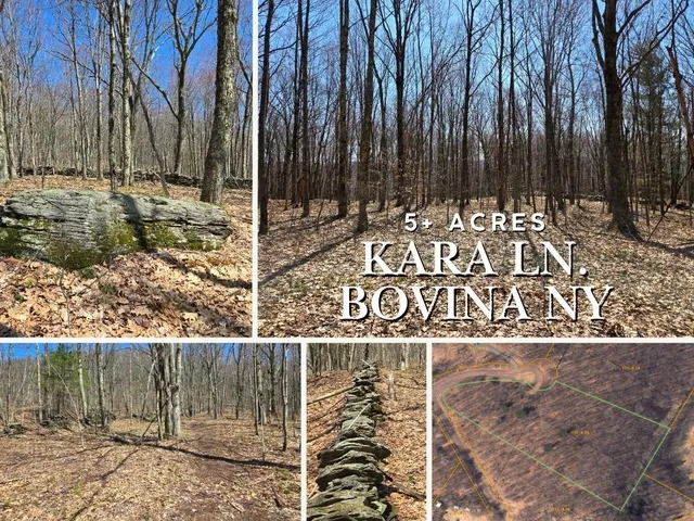 $54,990 | Lot 25 Kara Lane, Bovina Center, NY 13740