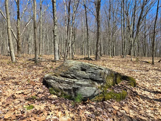 $54,990 | Lot 25 Kara Lane, Bovina Center, NY 13740