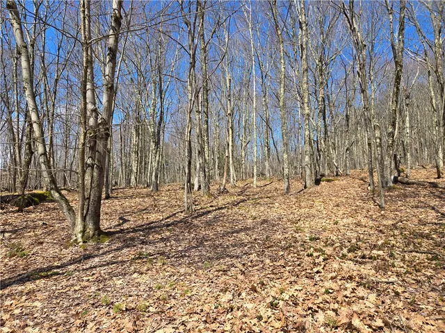 $54,990 | Lot 25 Kara Lane, Bovina Center, NY 13740