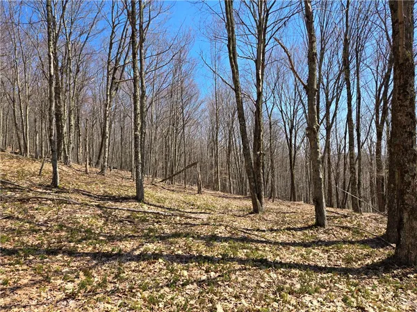 $52,000 | Lot 25 Kara Lane, Bovina Center, NY 13740