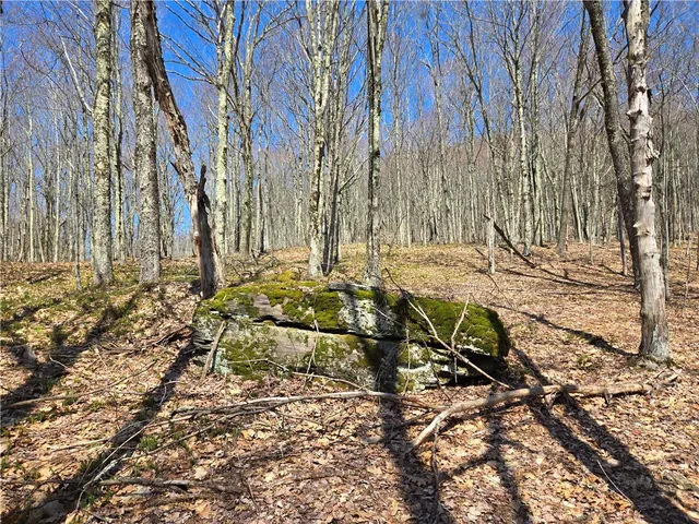 $54,990 | Lot 25 Kara Lane, Bovina Center, NY 13740