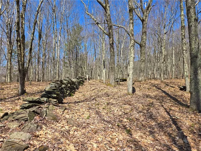 $54,990 | Lot 25 Kara Lane, Bovina Center, NY 13740