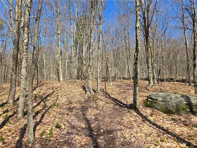 $54,990 | Lot 25 Kara Lane, Bovina Center, NY 13740