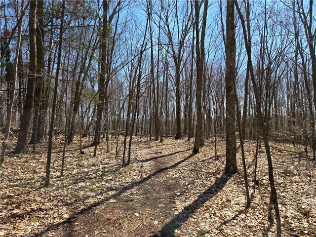 $54,990 | Lot 25 Kara Lane, Bovina Center, NY 13740