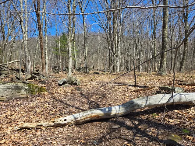 $54,990 | Lot 25 Kara Lane, Bovina Center, NY 13740