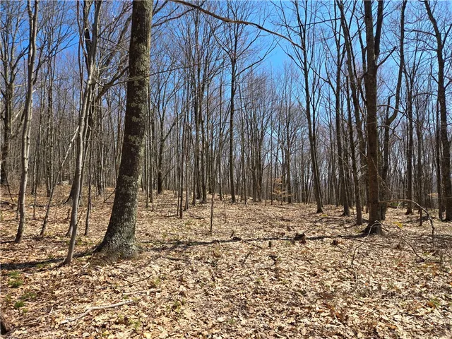 $54,990 | Lot 25 Kara Lane, Bovina Center, NY 13740