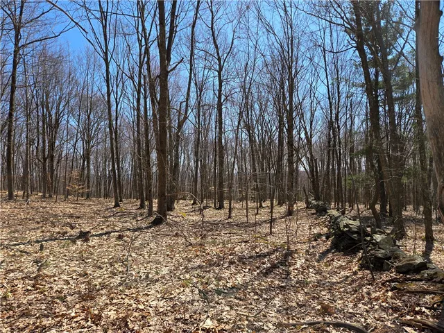 $54,990 | Lot 25 Kara Lane, Bovina Center, NY 13740