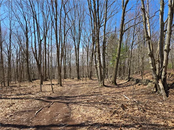 $52,000 | Lot 25 Kara Lane, Bovina Center, NY 13740