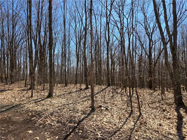 $54,990 | Lot 25 Kara Lane, Bovina Center, NY 13740