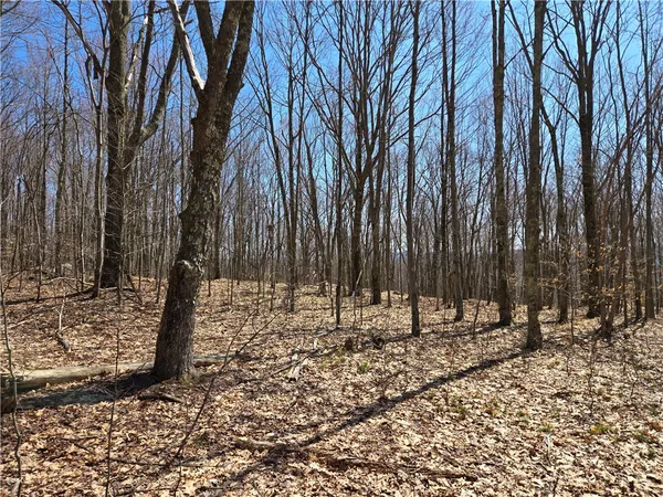 $52,000 | Lot 25 Kara Lane, Bovina Center, NY 13740