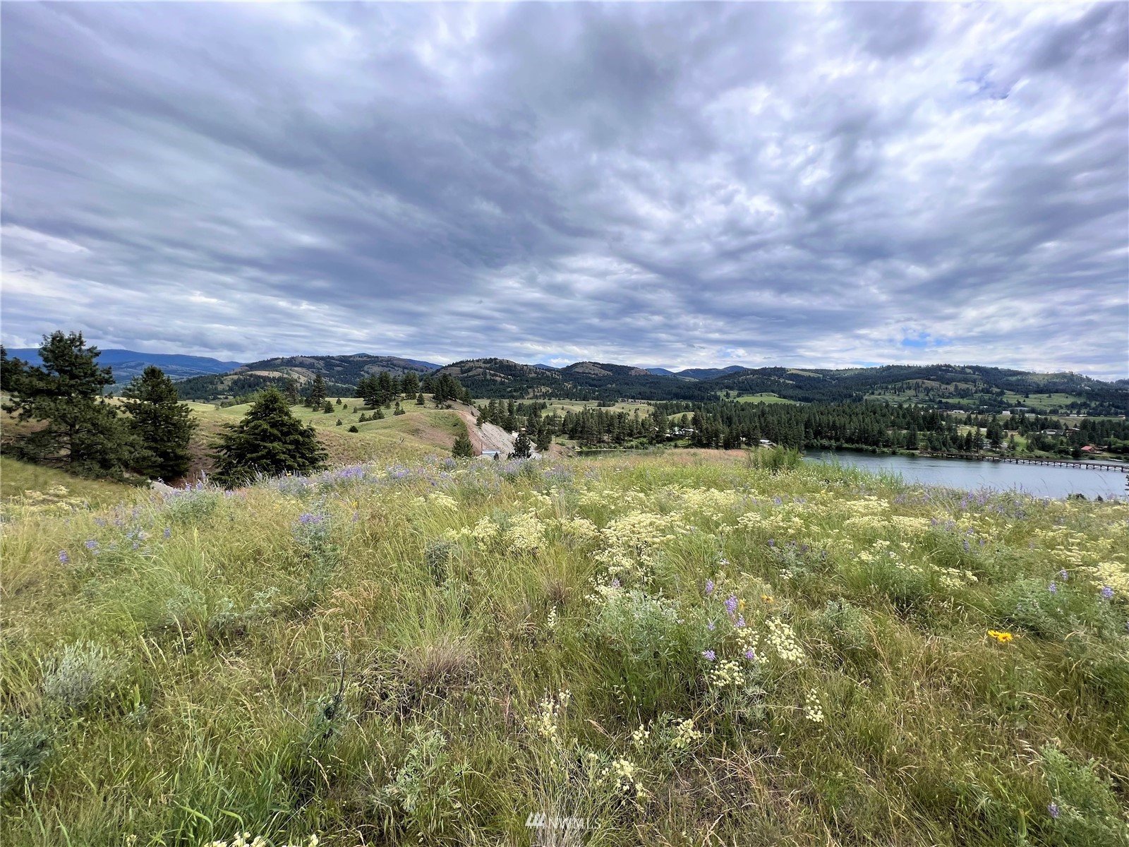 1 Trestle View Republic, WA 99166 - Photo 3 of 20 Gallery Image 3