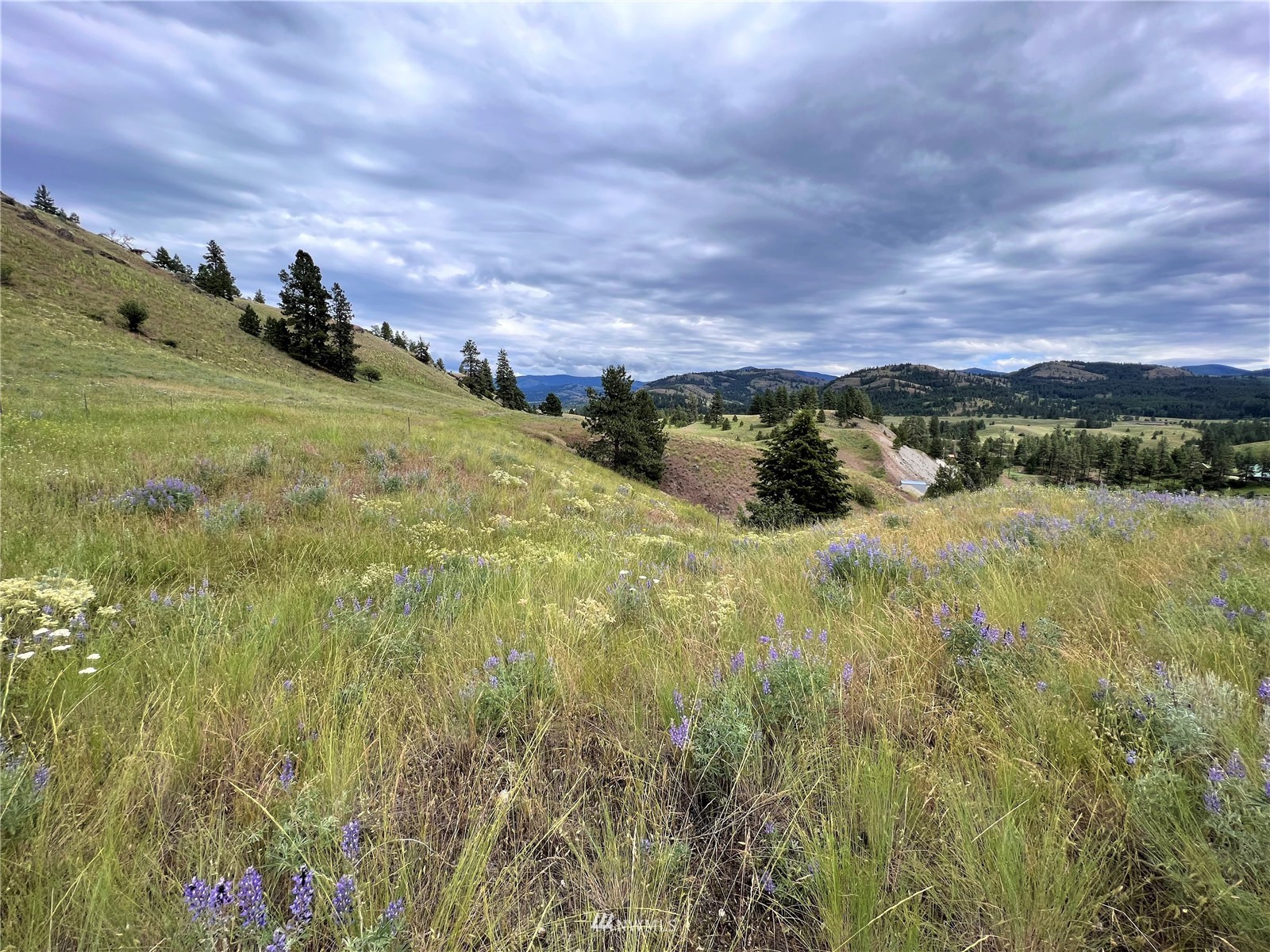 1 Trestle View Republic, WA 99166 - Photo 4 of 20 Gallery Image 4