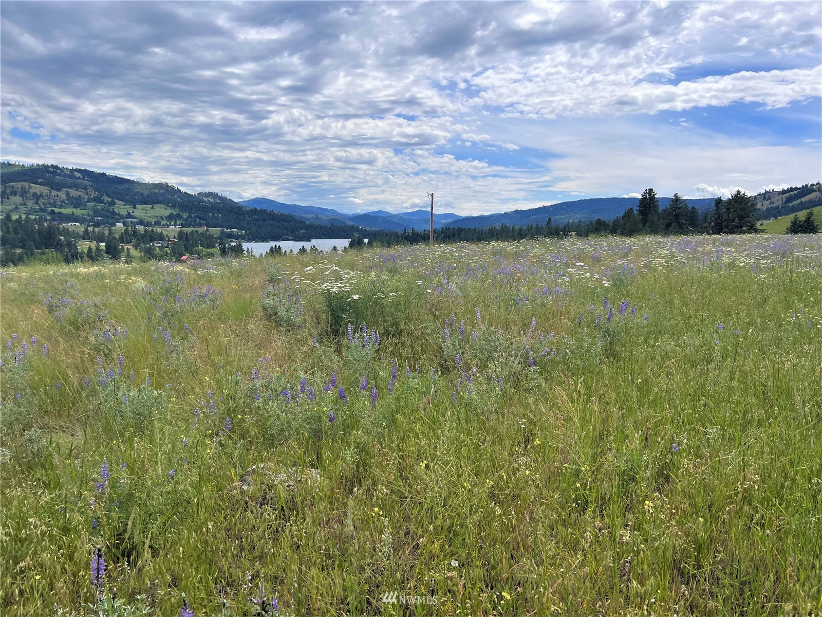 1 Trestle View Republic, WA 99166 - Photo 10 of 20 Gallery Image 10