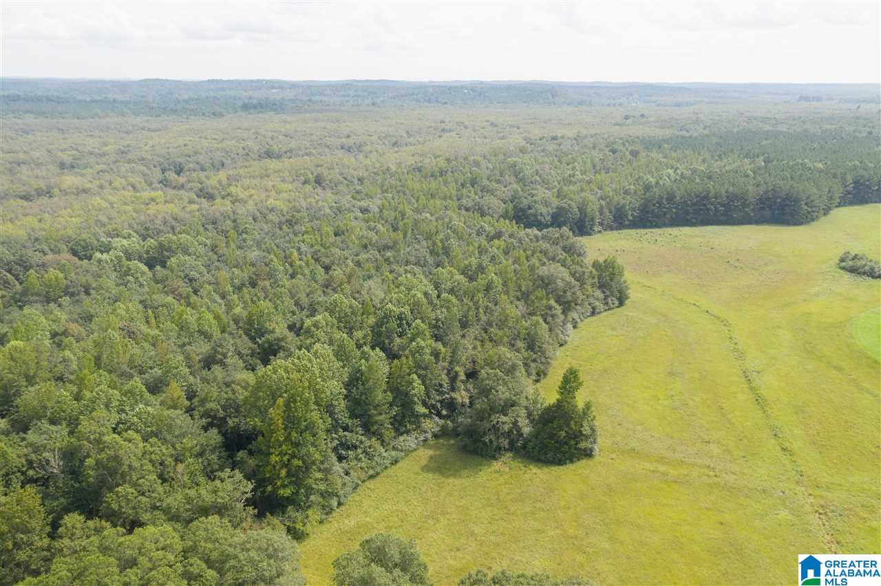 205 County Road 3 Reform, AL 35481 - Photo 24 of 46
