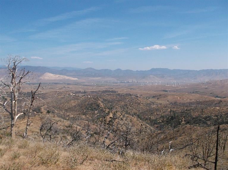 0 Stephen Road Tehachapi, CA 93561 - Photo 8 of 22 Gallery Image 8