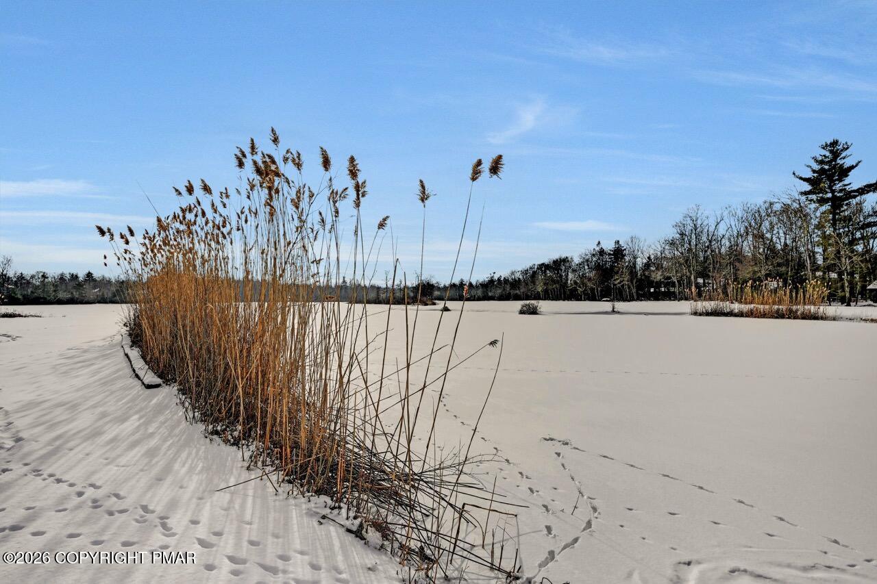 116 Spyglass Hill Road Tobyhanna, PA 18466 - Photo 3 of 73 Hole# 3 - Best of the Course!