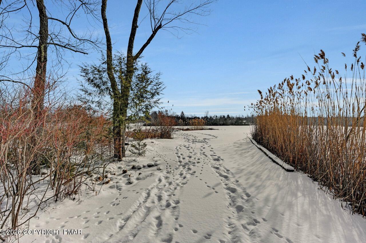 116 Spyglass Hill Road Tobyhanna, PA 18466 - Photo 4 of 73 a view of a dry yard covered with snow in the background