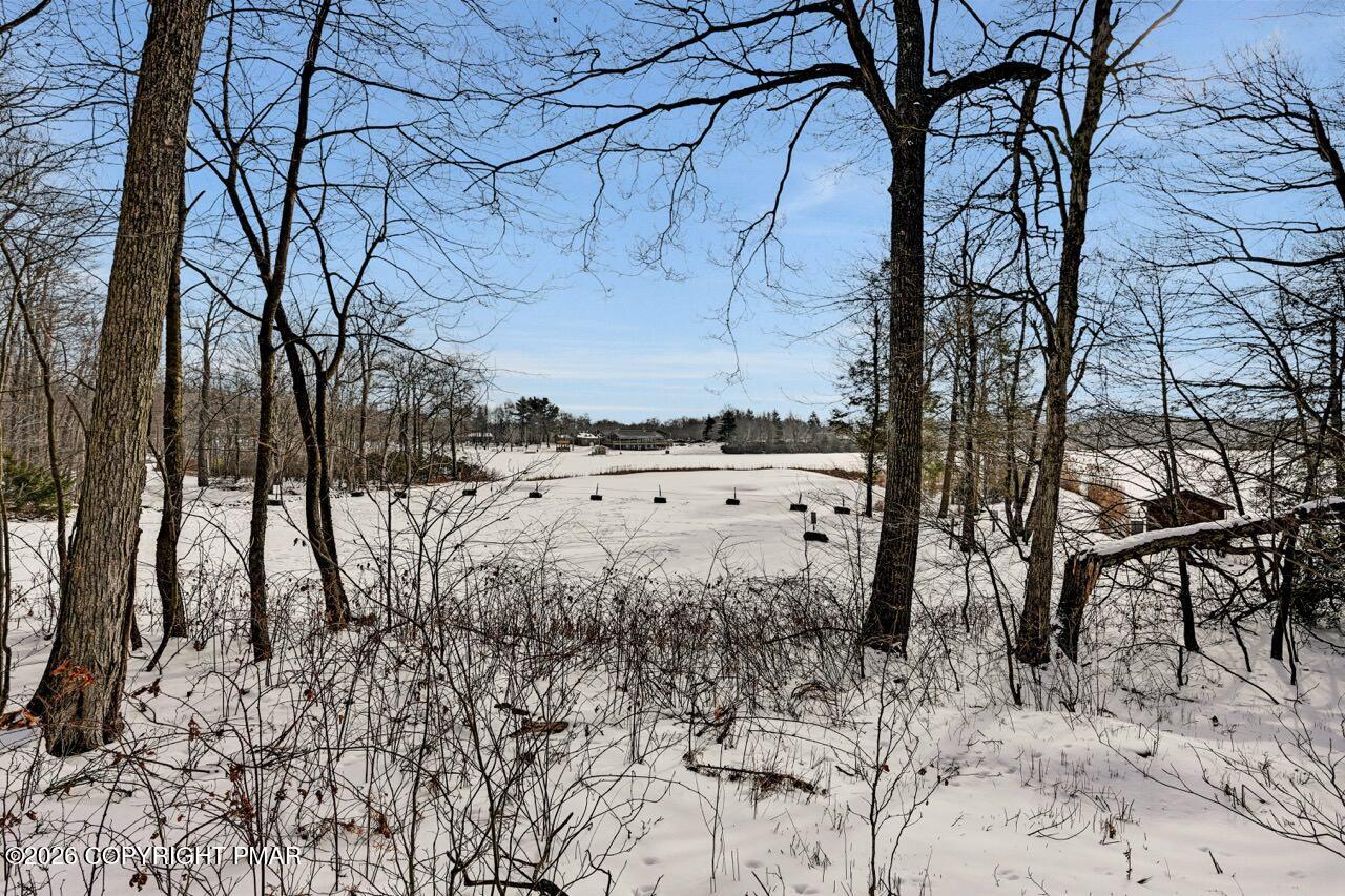 116 Spyglass Hill Road Tobyhanna, PA 18466 - Photo 61 of 73 a view of a yard next to a building