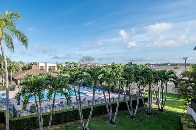 a view of a yard with a palm tree