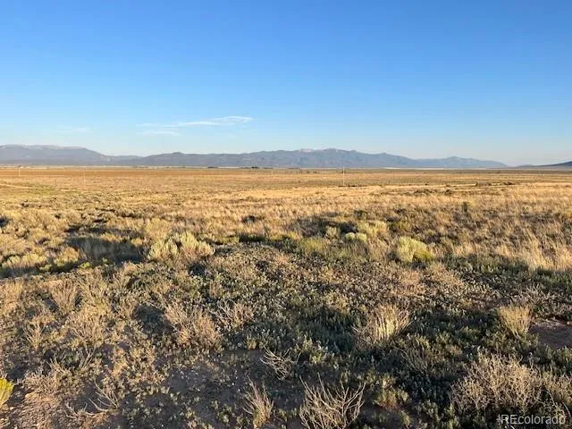 an aerial view of ocean and trees