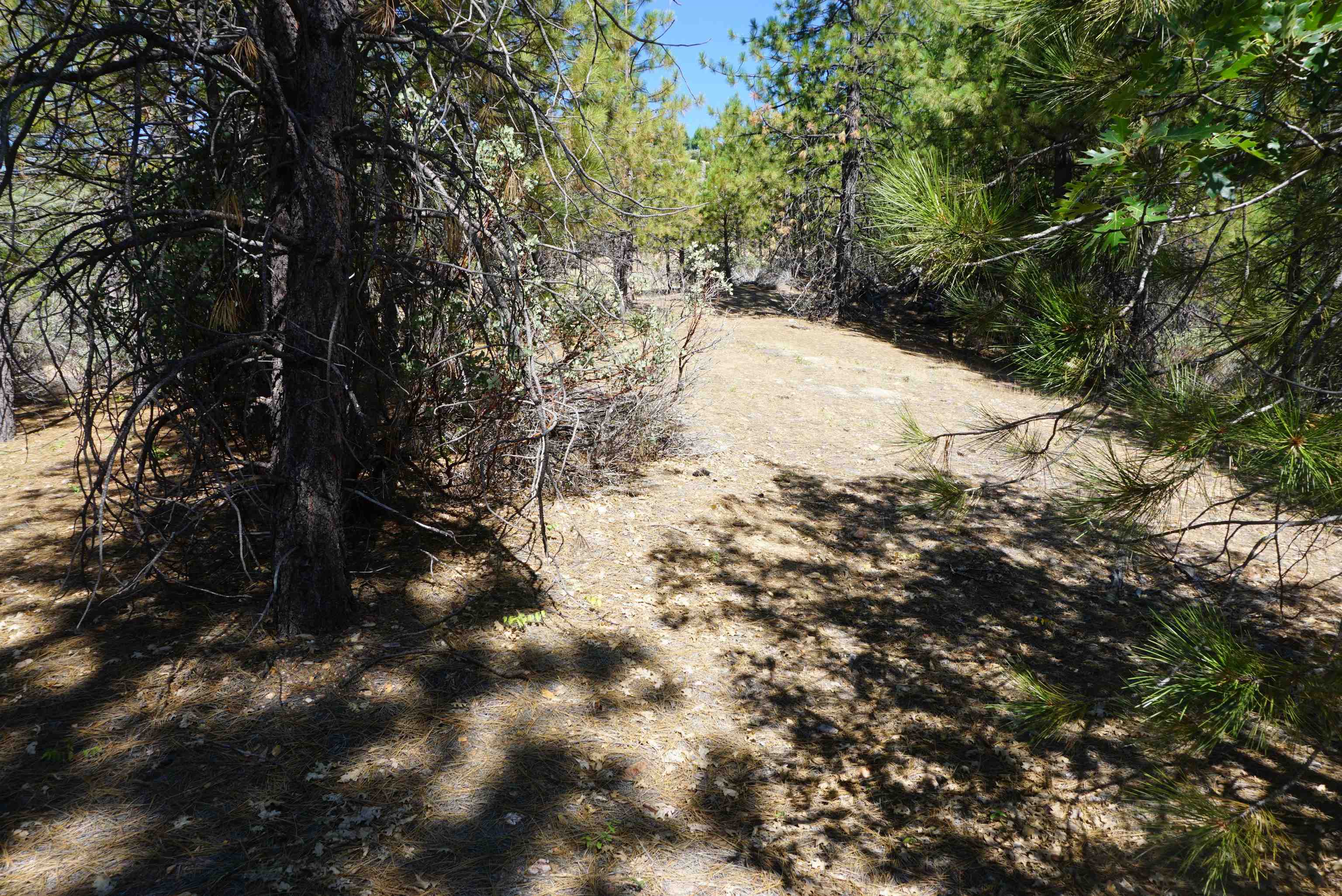 47579 Highway 70 Quincy, CA 95971 - Photo 3 of 4