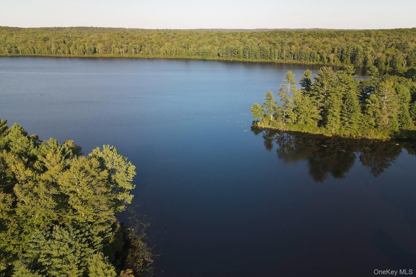 2 Lena Road Forestburgh, NY 12777 - Photo 2 of 9 a view of a lake