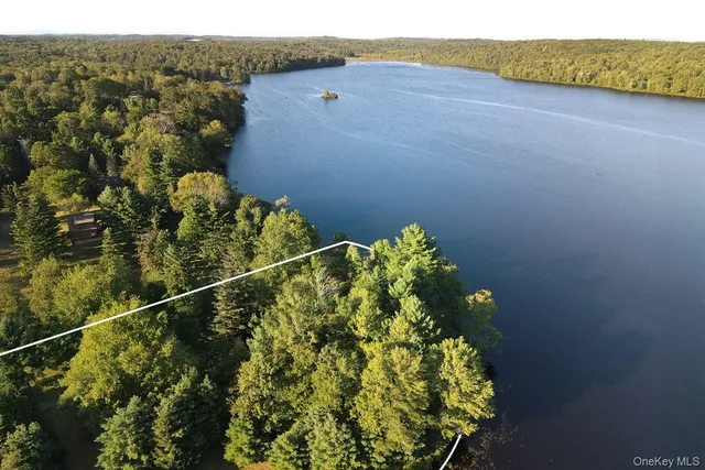 a view of a lake with a mountain in the background