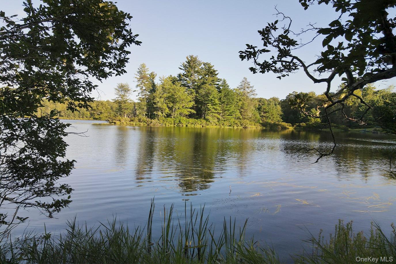 2 Lena Road Forestburgh, NY 12777 - Photo 4 of 9 a view of lake
