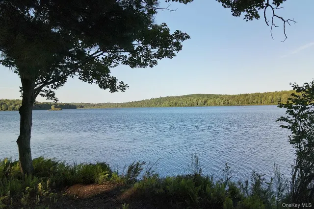 a front view of a house with a garden and trees