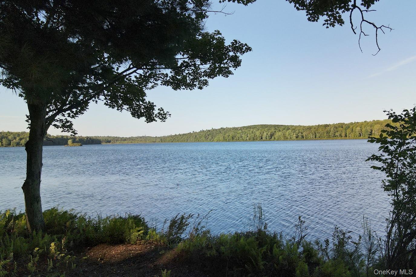 2 Lena Road Forestburgh, NY 12777 - Photo 6 of 9 a view of a lake with outdoor space