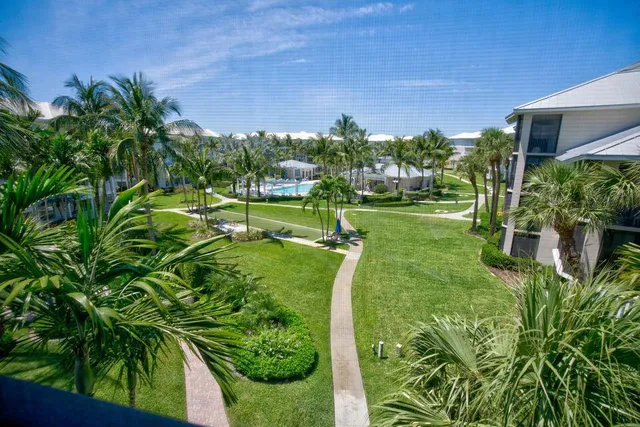 a view of a big yard with plants and a large tree