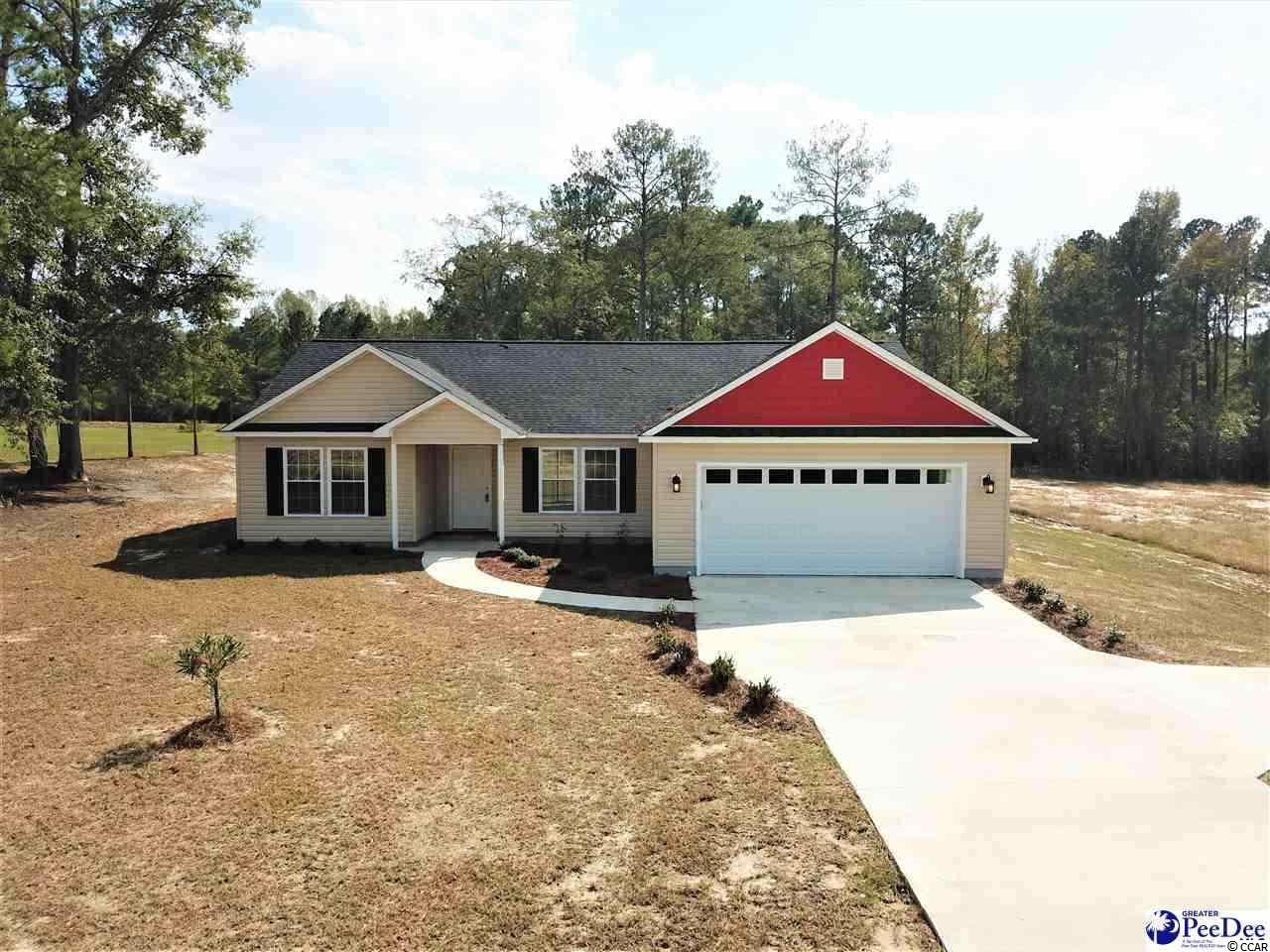 305 Pocosin Road Latta, SC 29565 - Photo 1 of 2 Gallery Image 1