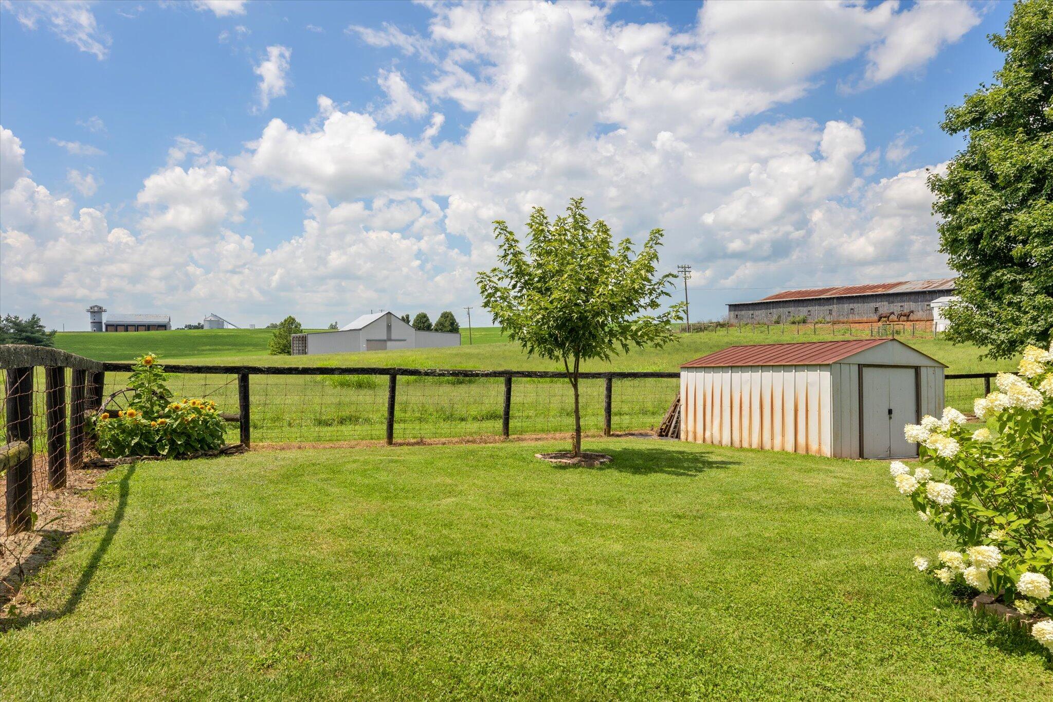 314 College Road Paris, KY 40361 - Photo 35 of 39 35-0J2A8192