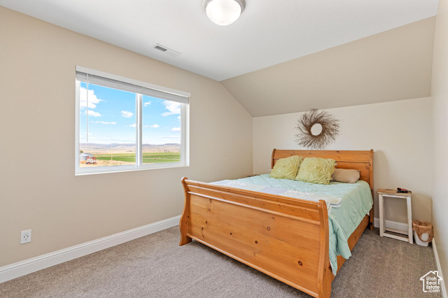 19502 South Olson Road Downey, ID 83234 - Photo 50 of 64 ADU: Bedroom featuring light colored carpet, lofted ceiling, and a mountain view