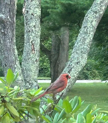 $799,000 | 18 Adams Road, Ossining, NY 10562