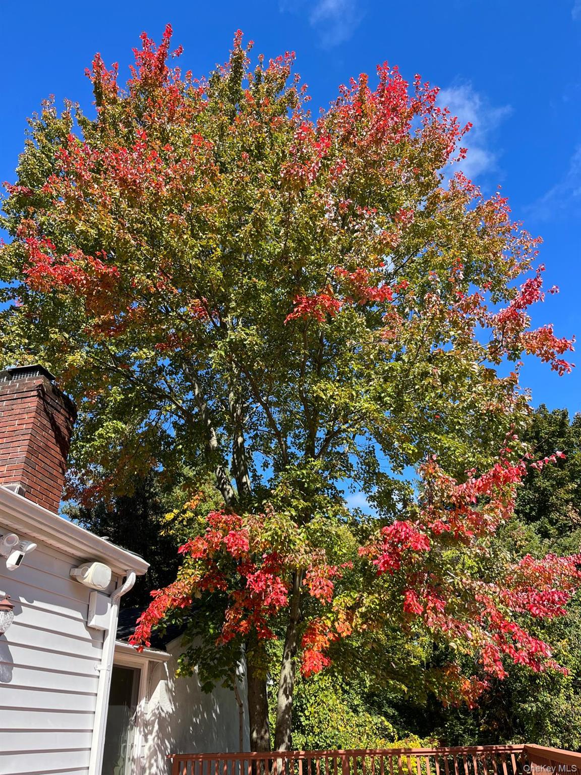 18 Adams Road Ossining, NY 10562 - Photo 31 of 41 Exterior view