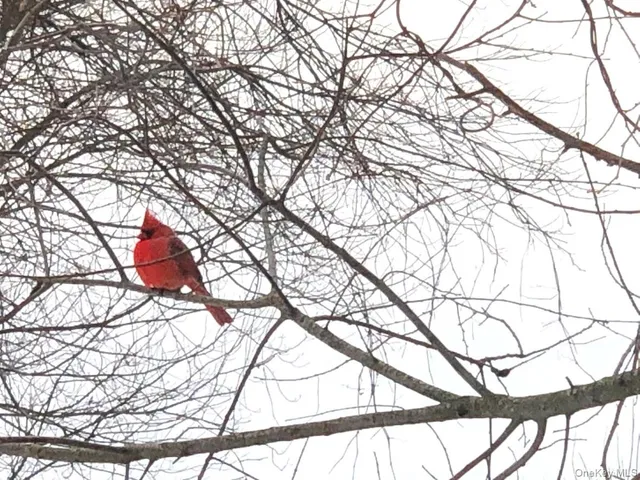 $799,000 | 18 Adams Road, Ossining, NY 10562