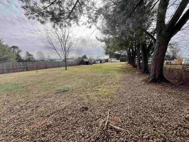 a view of a field with a tree