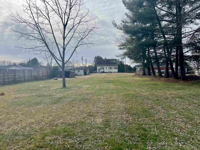 a view of a field with of trees