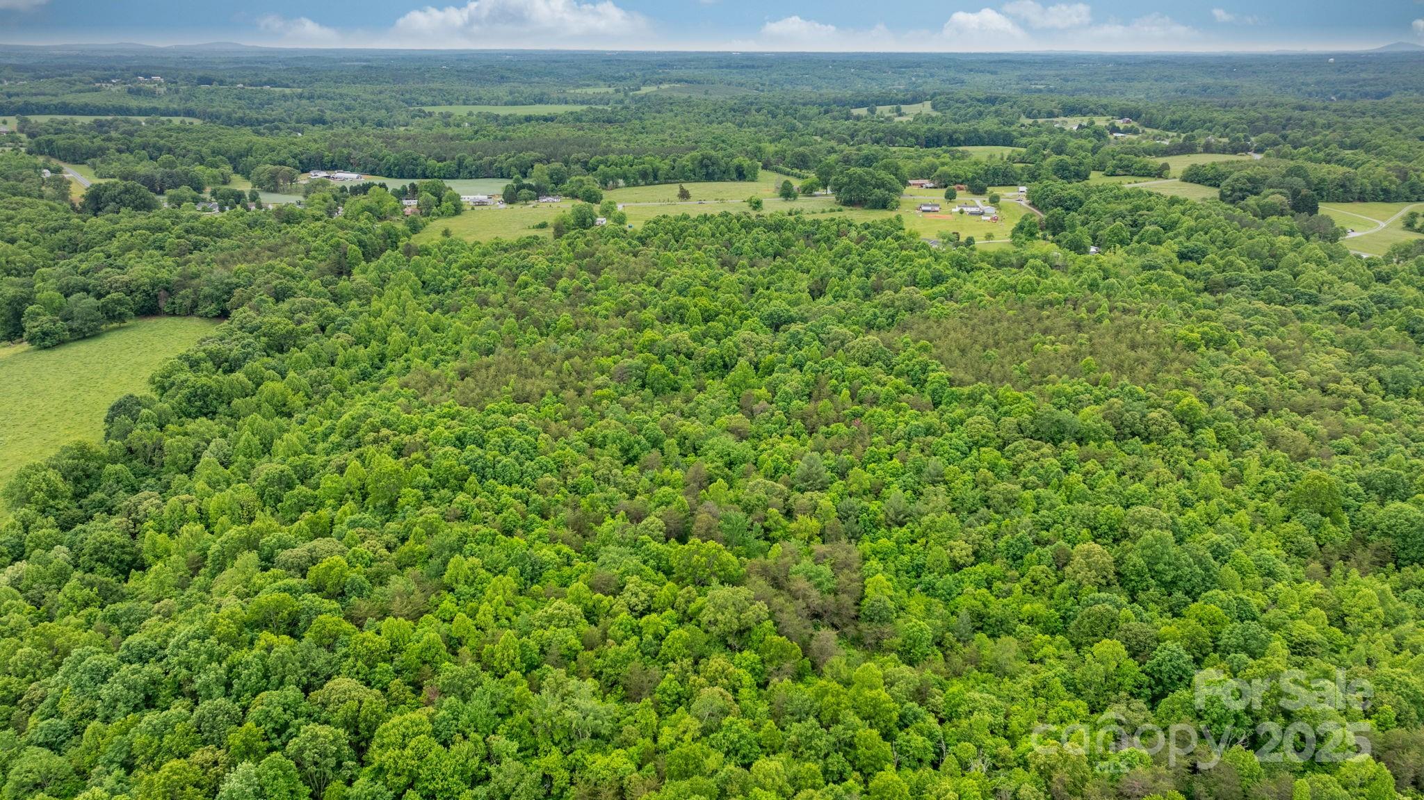 9161 Paul Payne Store Road Stony Point, NC 28678 - Photo 14 of 23 Gallery Image 14